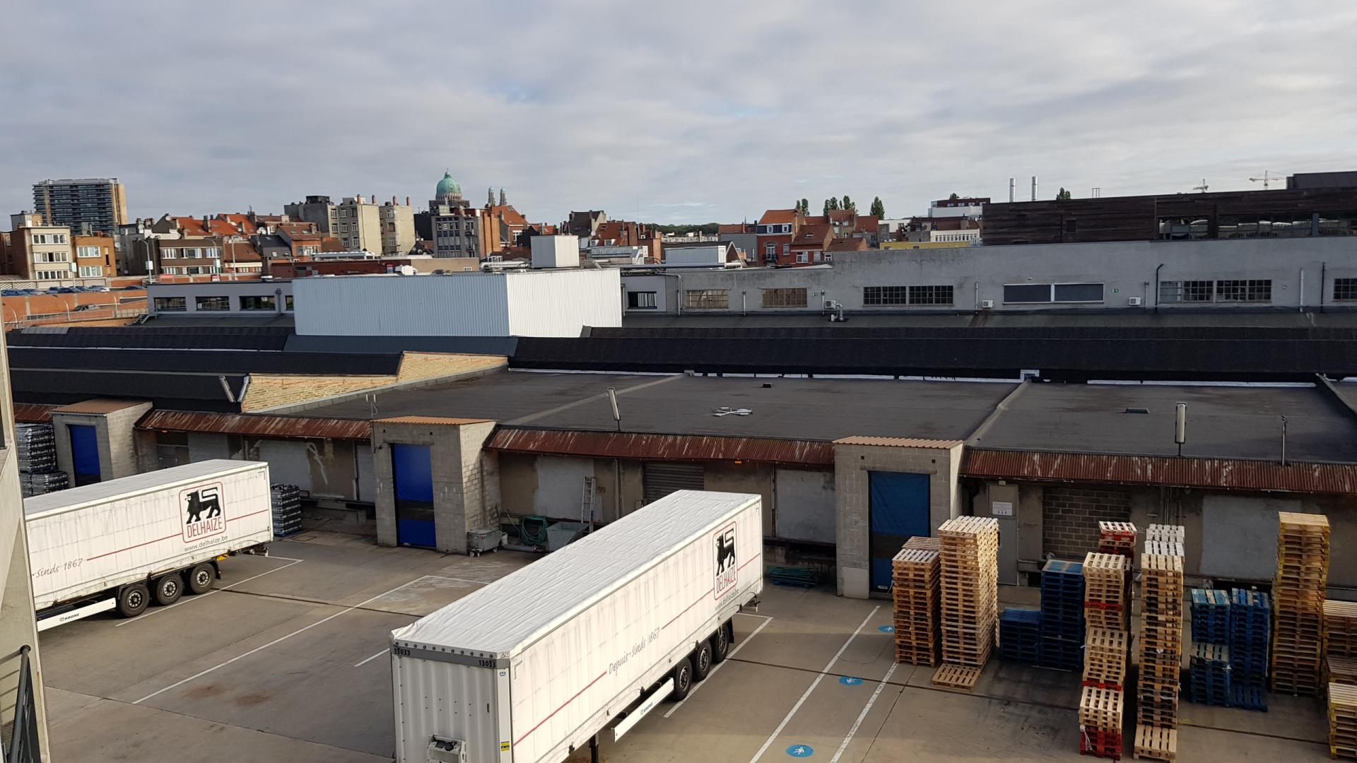 Delhaize - LionCity